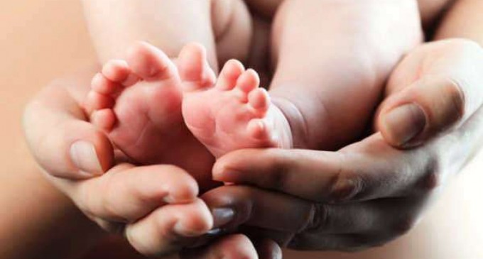 Gestational Surrogacy Overview