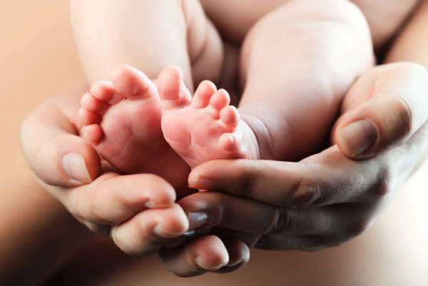 Fast Overview to Surrogacy